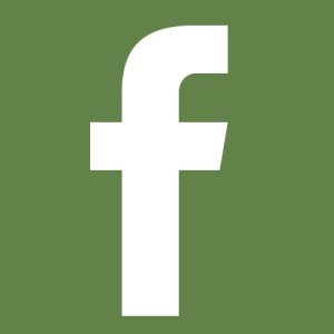 facebook icon